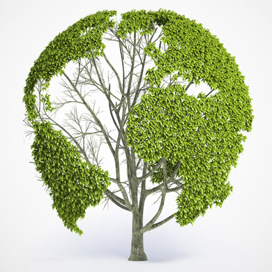 Zöldhulladék gyűjtés zoldhulladek