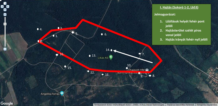 Erdőlátogatási korlátozás erdo