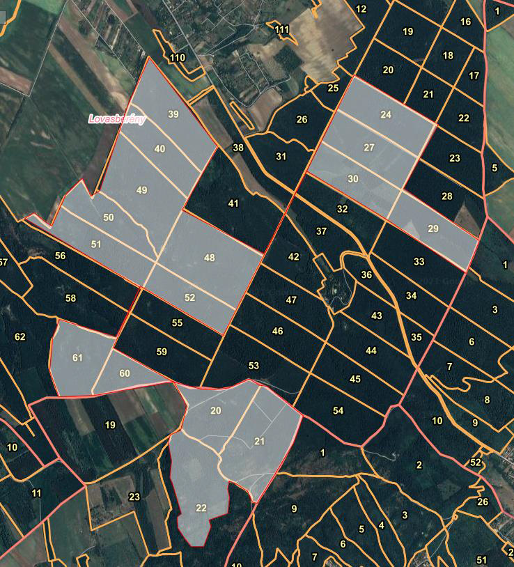 Erdőlátogatási korlátozás erdo